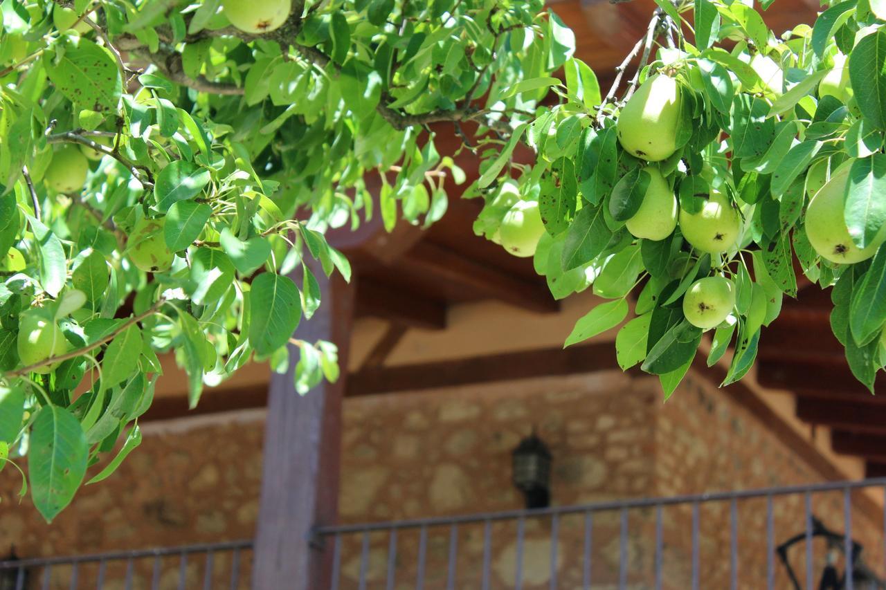 Gasthaus Complejo Rural La Coronilla Jarandilla de la Vera Exterior foto
